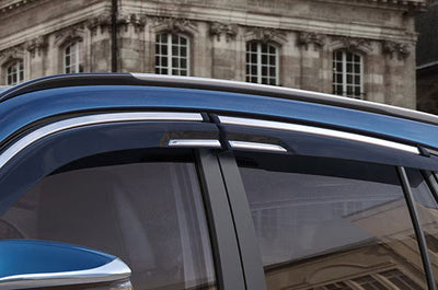 Door Visor